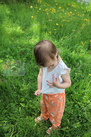 IMG_4179-2
