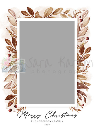 CD214_Front_Salsaldesign
