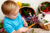 Bunny Sessions