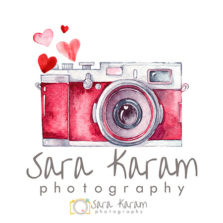 CameraLogowithValentinesDayHearts
