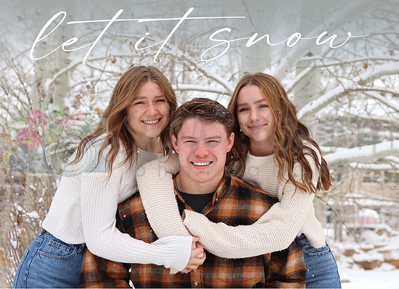 IMG_9735letitsnow