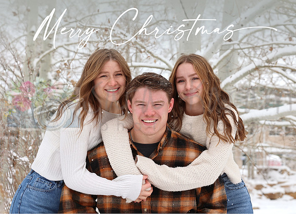 IMG_9735MerryChristmas