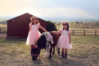 Hennessy, Isle and Emma