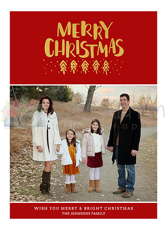 CD001_Salsaldesign_Front
