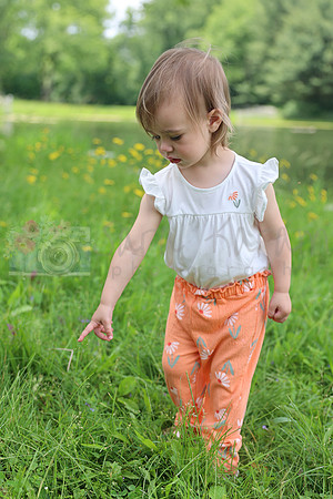 IMG_4194-2