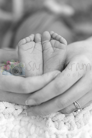 IMG_9497B