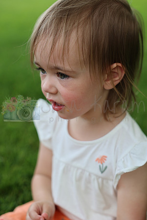 IMG_4327-2